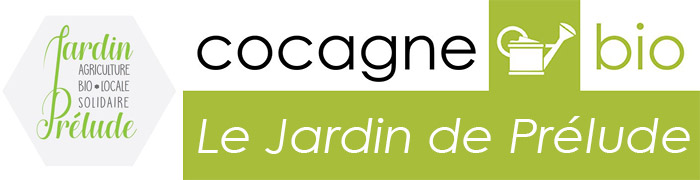 Accueil